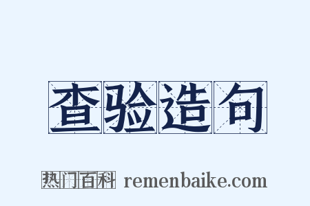 查验造句是什么意思的图片